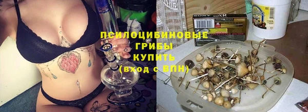 MESCALINE Ельня