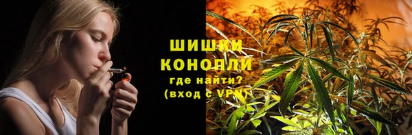 Альфа ПВП Аша