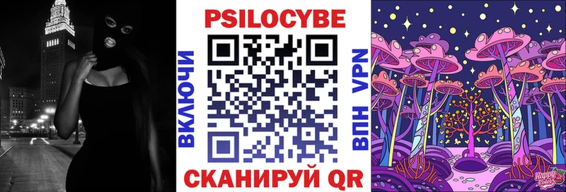 как найти закладки  Жуковка  Псилоцибиновые грибы мухоморы 